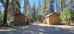 Two wooden cabins with external stairs, surrounded by tall pine trees.