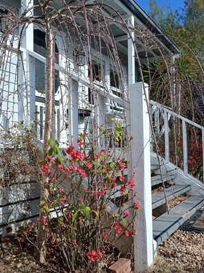 Exterior detail - Candlebark Cottage - Private spa retreat (Hepburn)