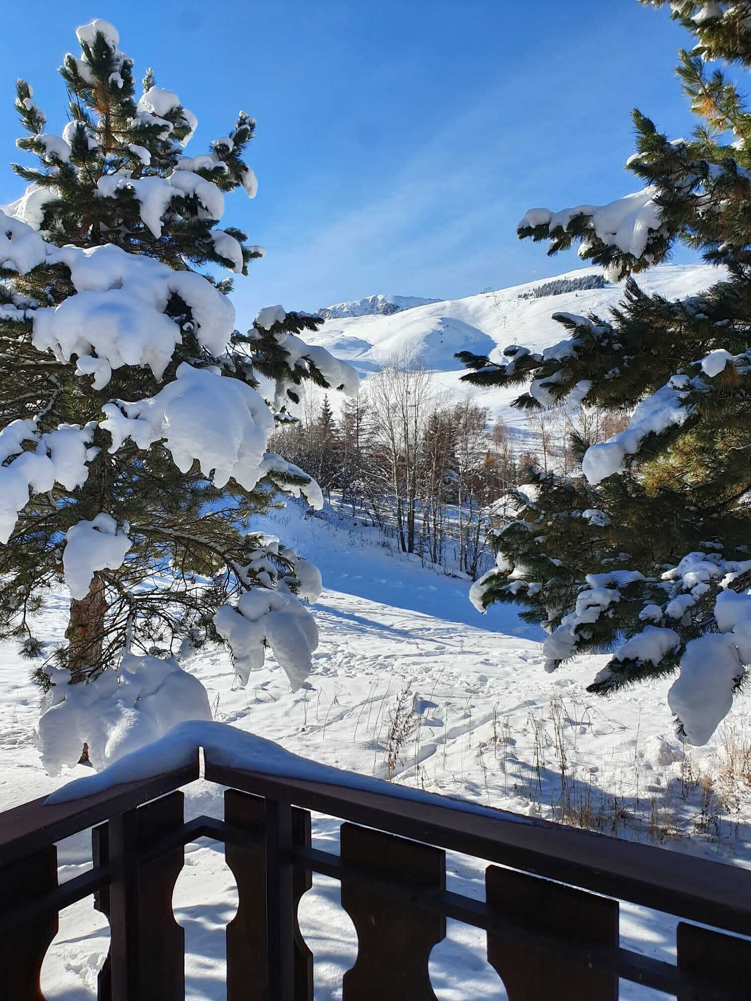 Paesaggio innevato con alberi coperti di neve e cielo azzurro limpido.