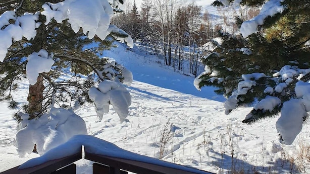 Un paisaje nevado con árboles cubiertos de nieve y un cielo azul despejado.