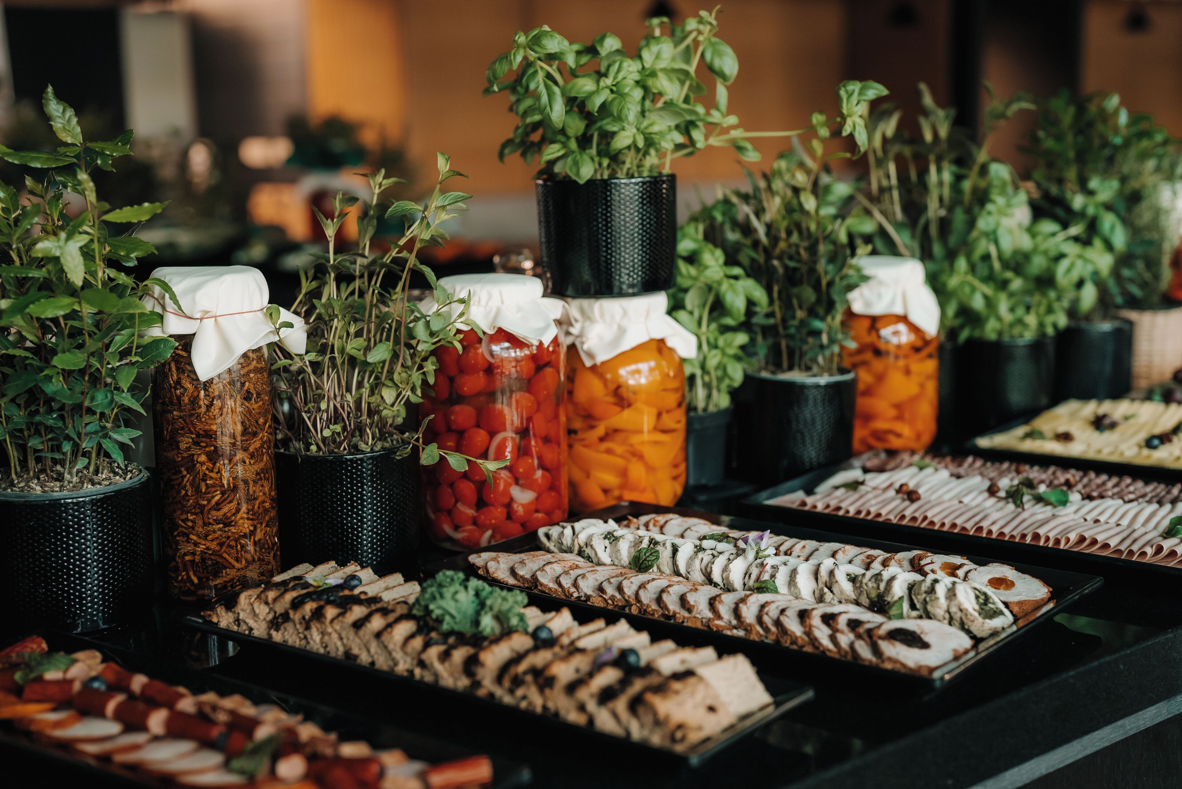 Un buffet proposant une variété de plats et agrémenté de plantes en pot.