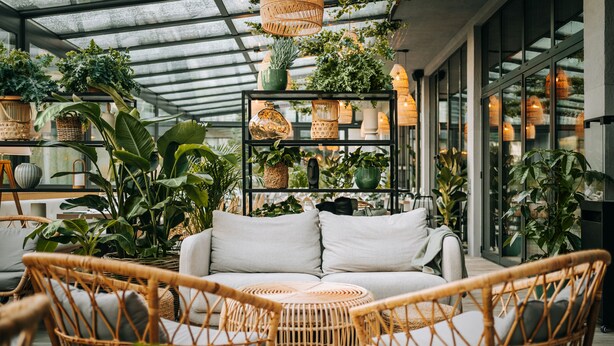 A cozy indoor space with a wicker sofa, wicker chairs, and a variety of potted plants.