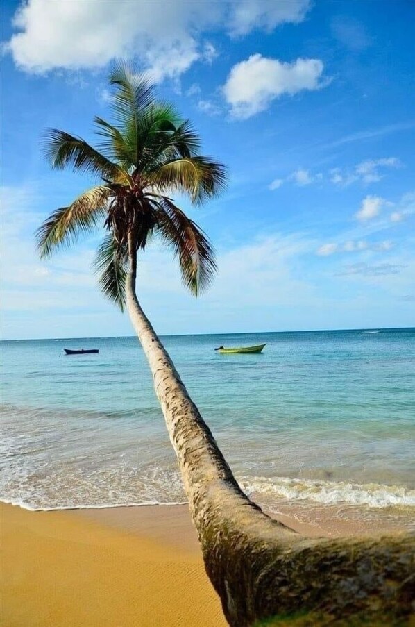 كراسي للتشمس، مناشف للشاطئ