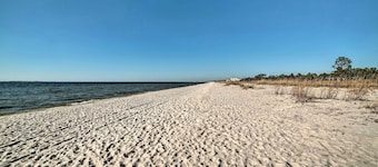 Walk to Shore: 'Oyster House' Port St Joe Getaway