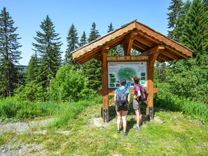 Bathroom - Ski-in/ski-out apartment with balcony and included WIFI (Notre-Dame-de-Bellecombe)