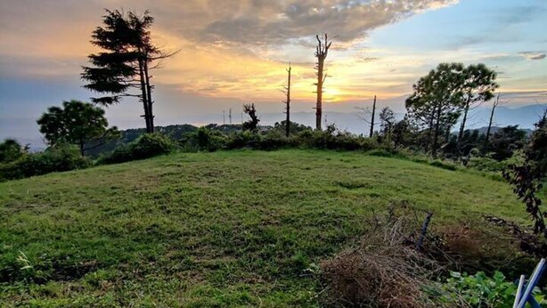 A grassy field with a dirt path leading towards a sunset. - Pre Independence 2 BHK Bungalow,dalhousie,himachal (Dalhousie)