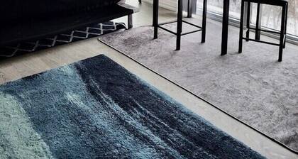 Brand New condo - 2bed / 2bath suite - Unobstructed views of Downtown Toronto