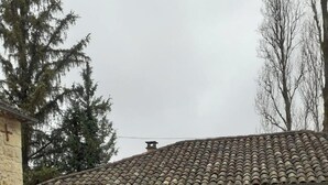 Ein Steinhaus mit einem Ziegeldach und einem kleinen Garten. Im Vordergrund befindet sich ein Hund.