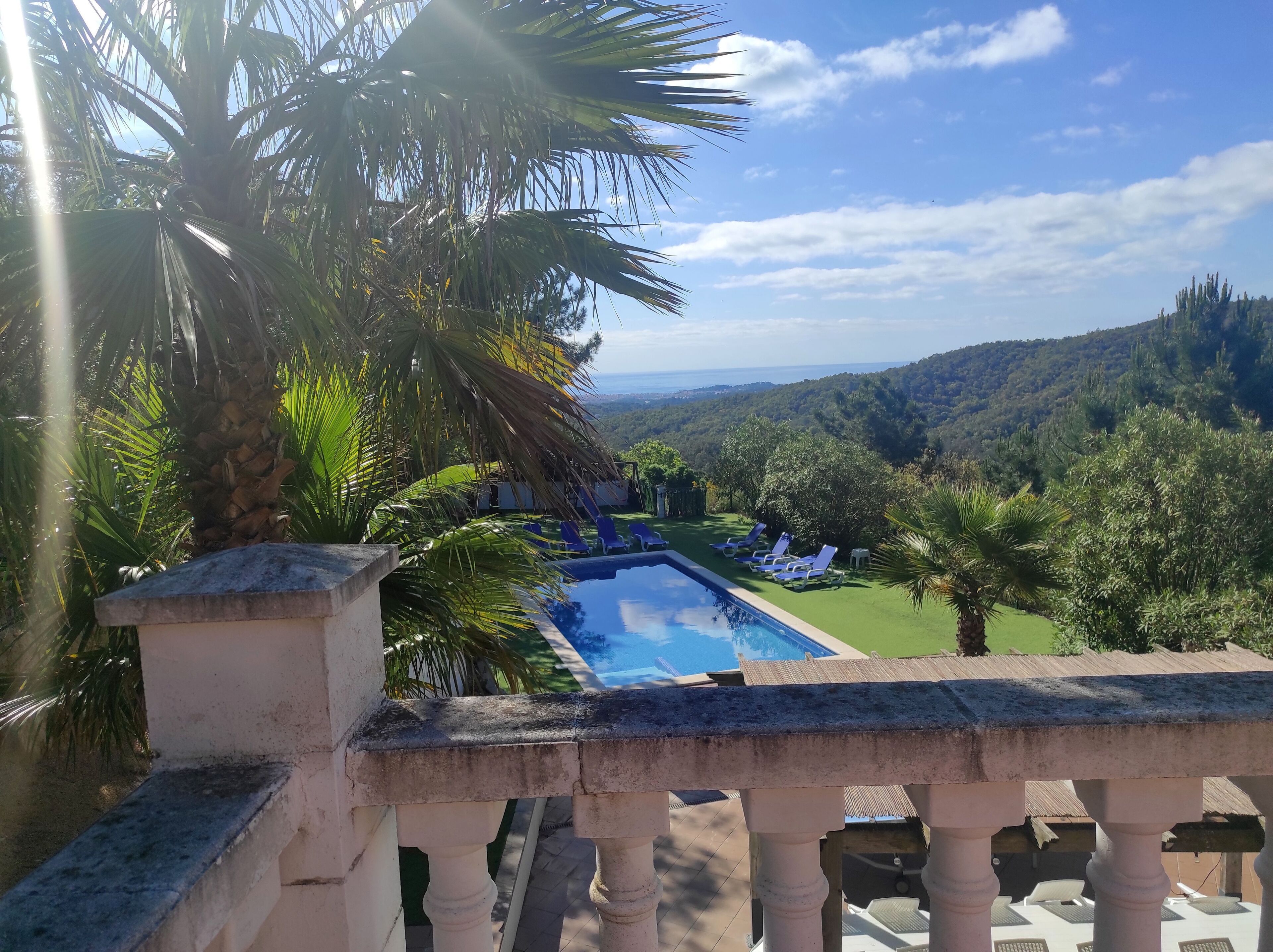 A pool with lounge chairs, surrounded by palm trees and a view of a hilly landscape.