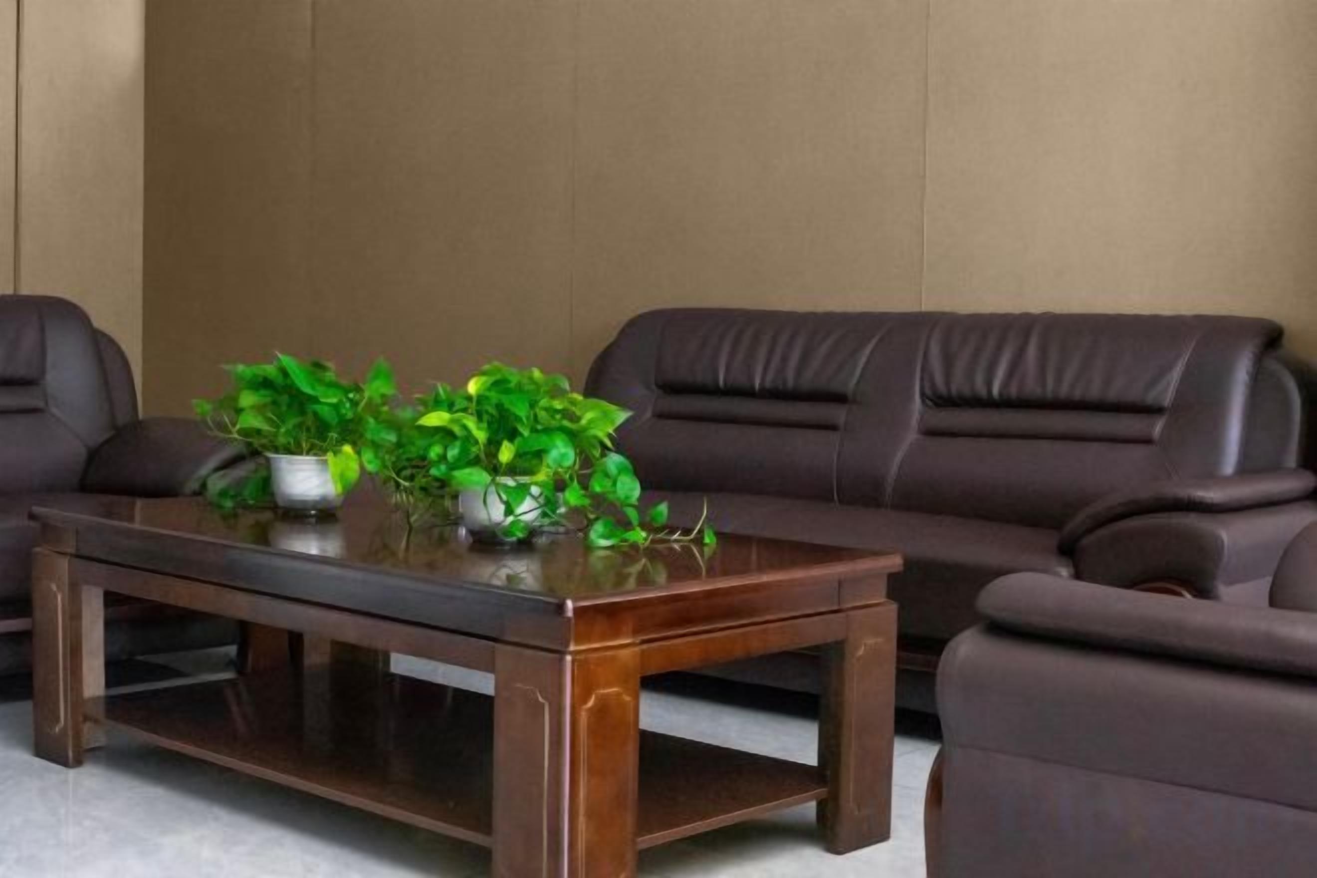 A brown leather sofa and a wooden coffee table with two potted plants.