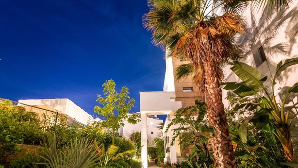 A pathway flanked by lush greenery and a palm tree, leading to a white building with a modern architectural style. - NEWLY BUILT Top Modern Penthouse in Puerto Banús (Puerto Banús)