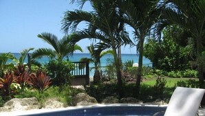 A swimming pool with a view of the ocean, surrounded by tropical plants and a lounge chair. - 1 bedroom Beachfront Condo, small pool, gorgeous sea view (Paynes Bay)