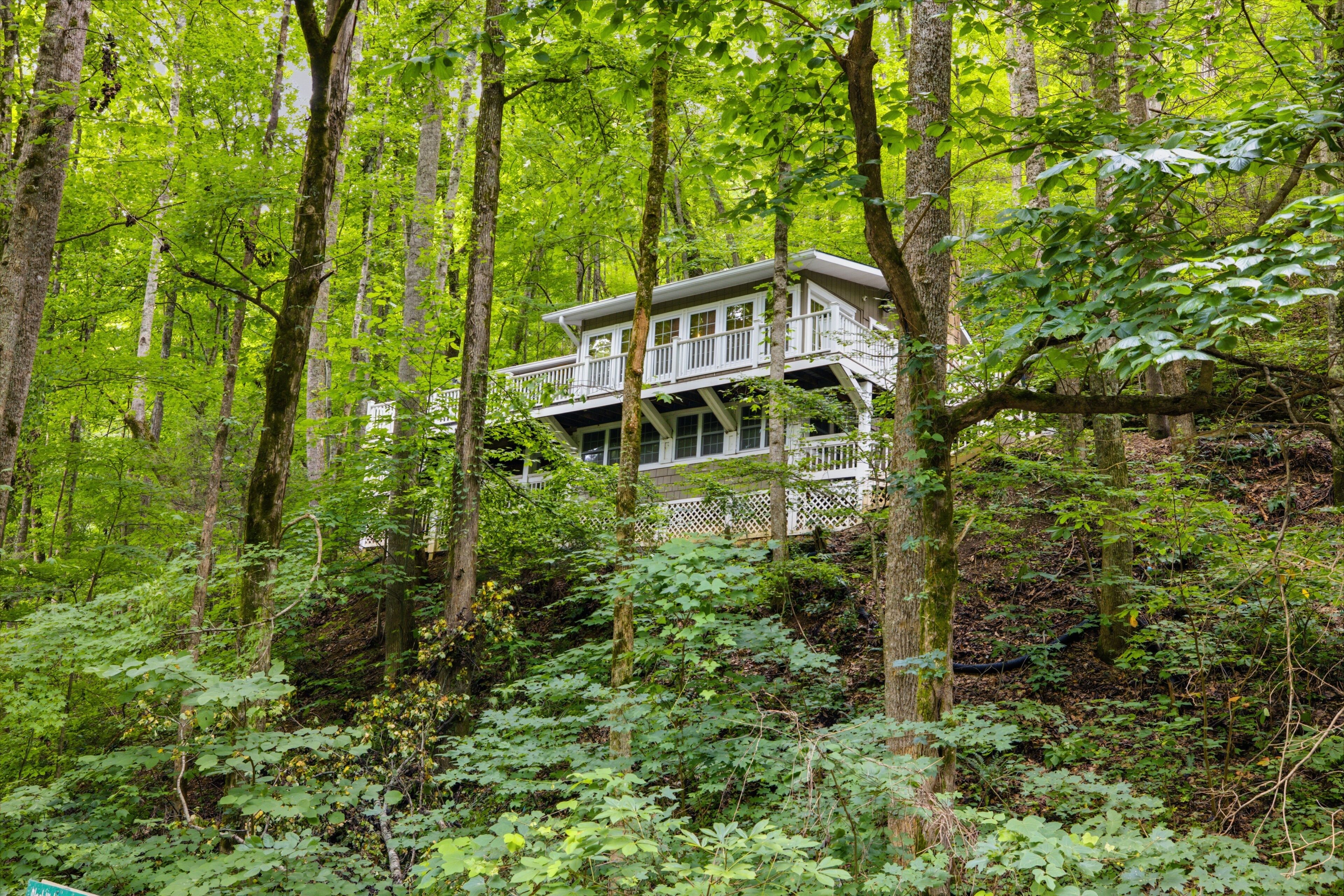 A treehouse with multiple levels, surrounded by dense forest.