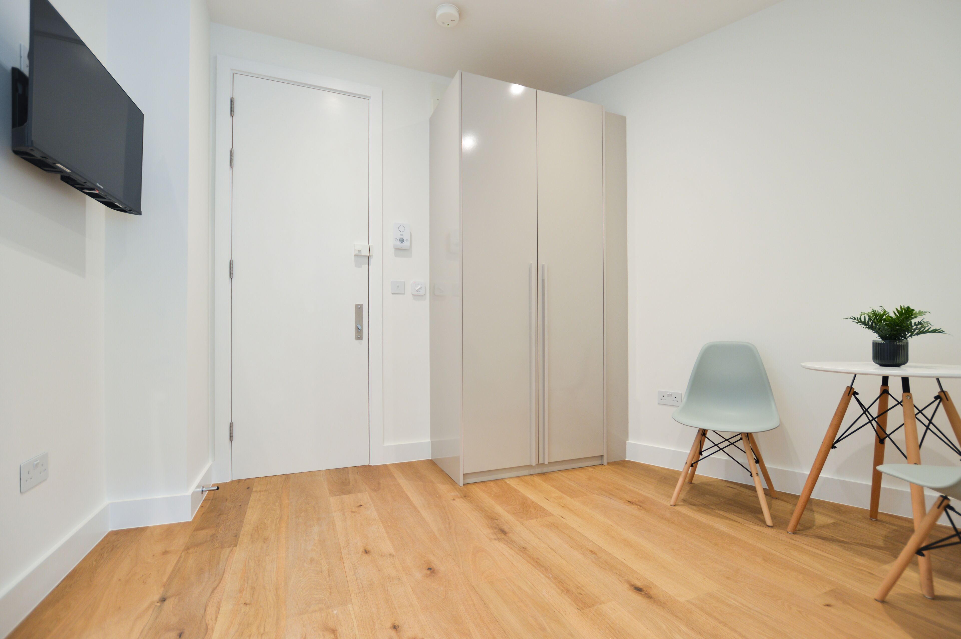 A modern room with a wooden floor, a white door, a wardrobe, a small table with a plant, and a chair.