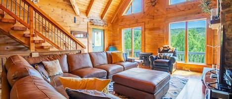 TV, fireplace, DVD player