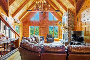 Televisión, chimenea y reproductor de DVD 