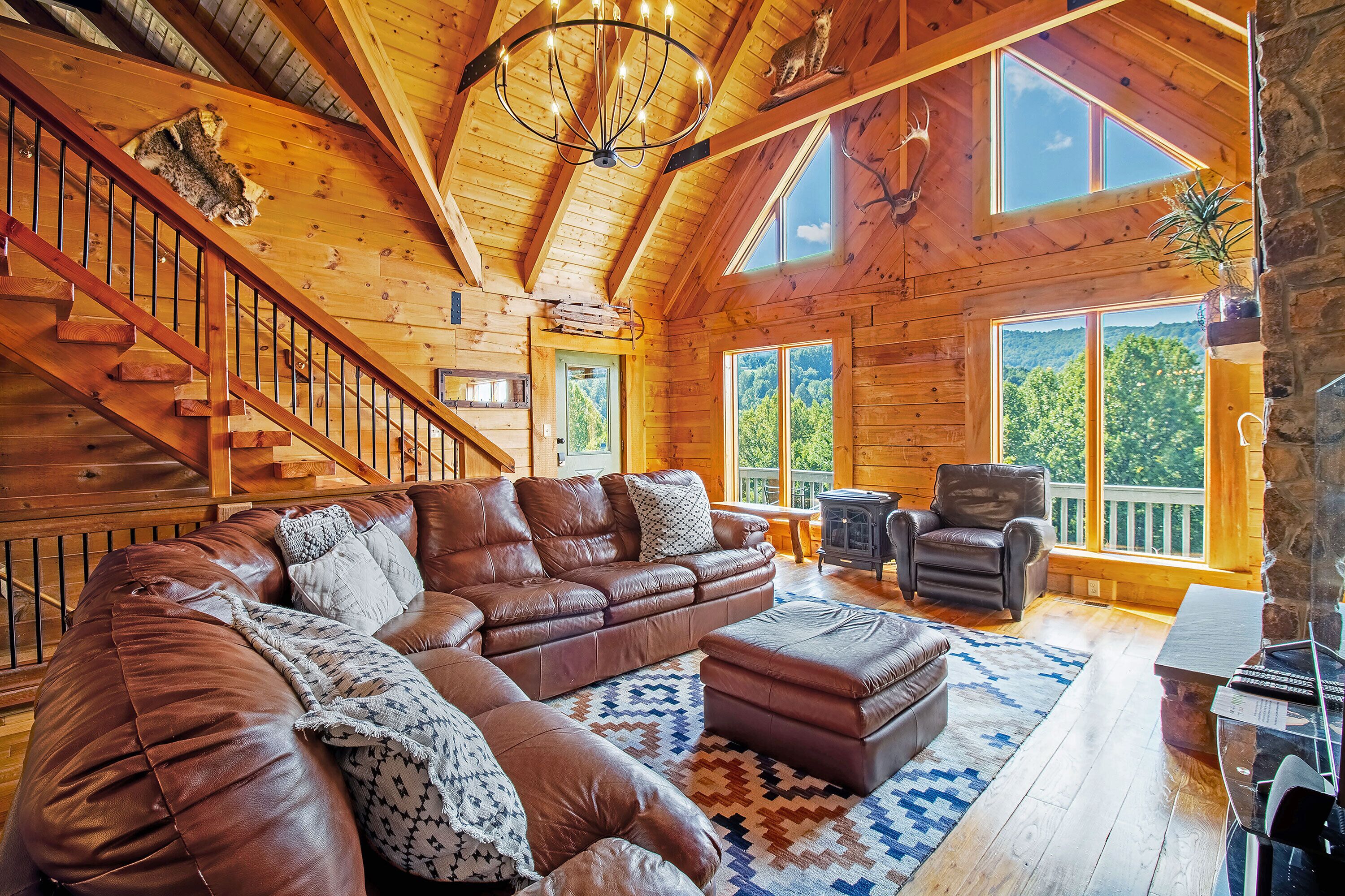 电视、壁炉、DVD 播放器