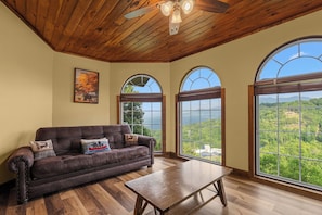 Smart TV, fireplace, foosball, video library