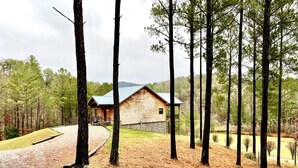 A cabin surrounded by tall pine trees with a gravel driveway leading to it. - Charming, pet friendly cabin, perfect for fishing, family, hiking and R&R! 2 Bedroom Cabin by RedAwning (Tellico Plains)