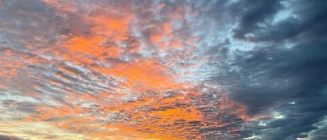 独立别墅, 2 间卧室 | 海滩 | 在海滩