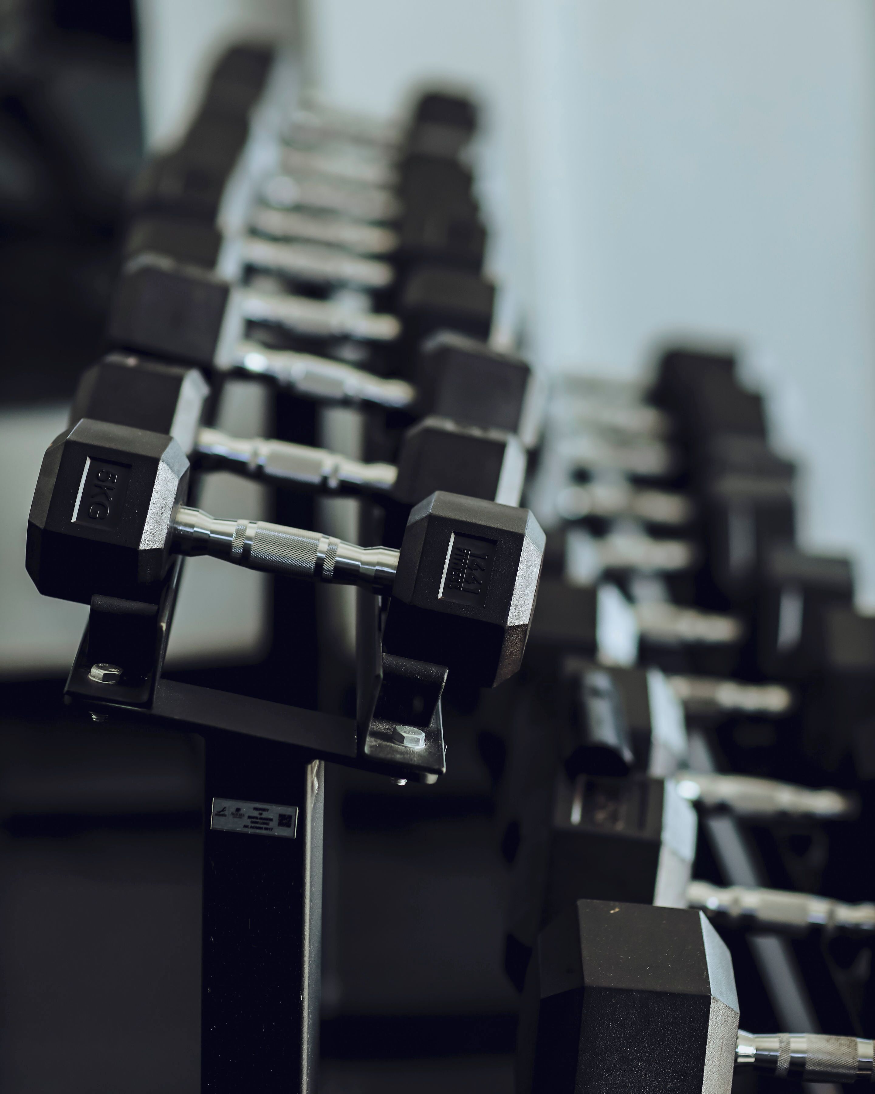 A row of dumbbells on a rack.