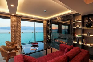 Televisión LCD 150 cm con canales de televisión vía satélite, televisión