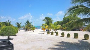 A sandy beach area with palm trees and a clear sky. - Tranquil romantic getaway (Belize)