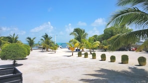 Chaises longues, serviettes de plage