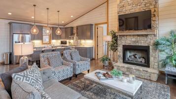 Télévision, cheminée, espaces bureaux