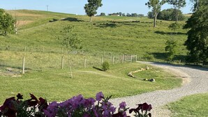 Un paisaje rural con un camino de grava, campos verdes y una cerca.