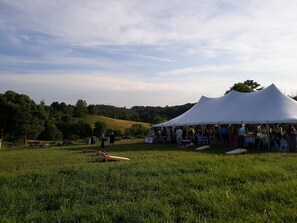 Property grounds - Sunnyside Country Retreat - Reunions/Events Farm stay (Amsterdam)