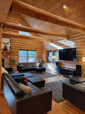 TV connectée, cheminée, chaîne hi-fi