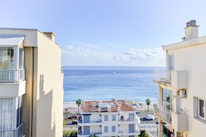 Vista desde la propiedad