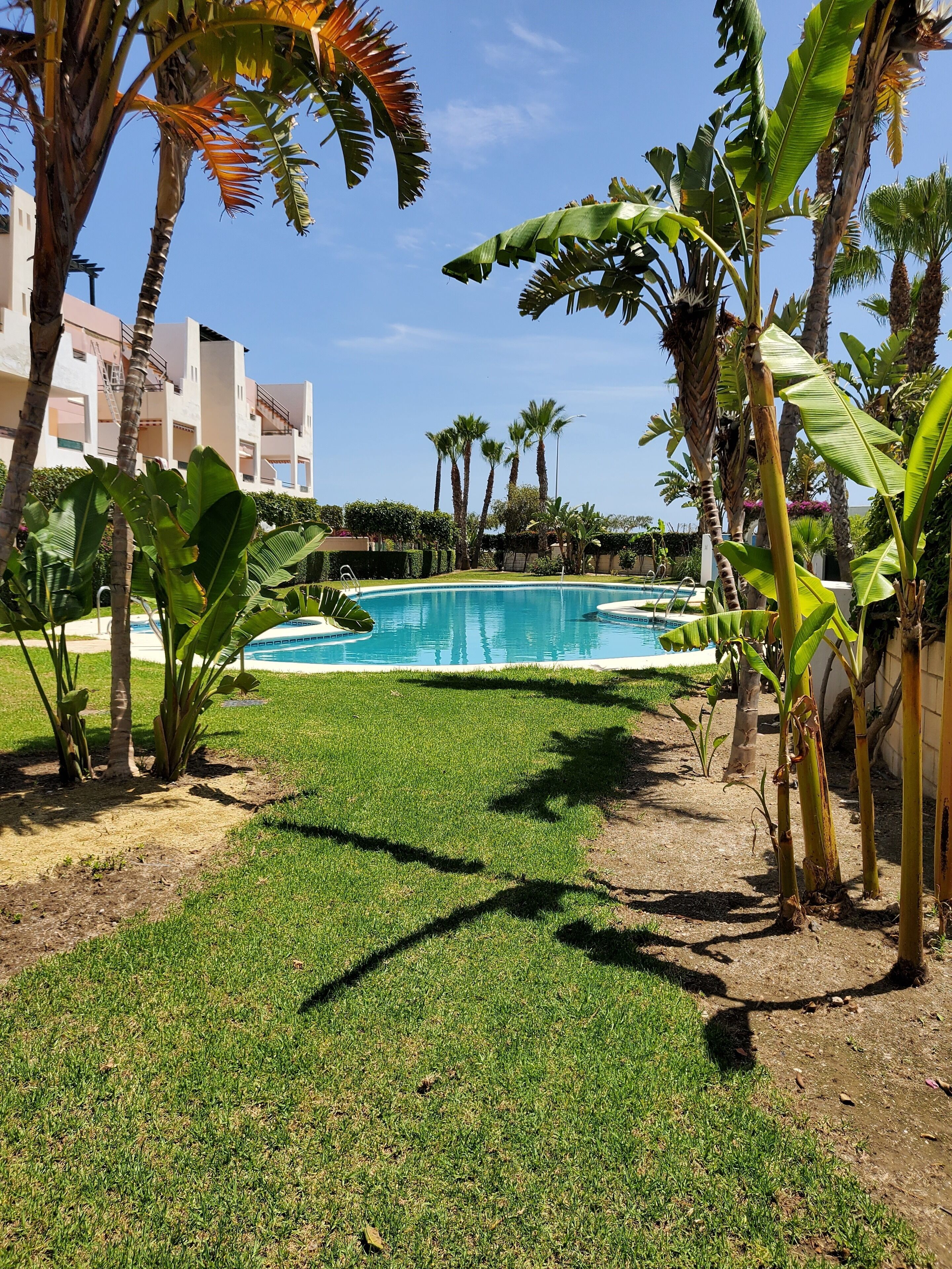 Una piscina envoltada de vegetació exuberant i palmeres, sota un cel blau clar.