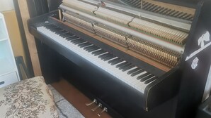 A grand piano in a room with a patterned rug, a wooden chair, and a bookshelf filled with books and CDs.