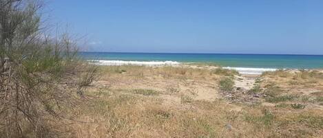 Appartement, 2 grands lits | Plage