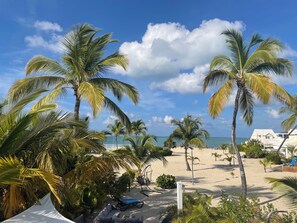 Ein Strand mit Palmen, Sandfläche und Blick auf den Ozean.