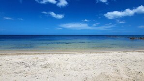 A beach with clear blue water, a sandy shore, and a rocky outcrop in the distance. - Beach Rental - Pet Friendly (chabihau)