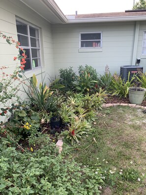 Een tuin met verschillende planten en een bloempot nabij een huis.