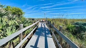 Un paseo marítimo de madera que atraviesa un área natural con diversas plantas y hierbas.