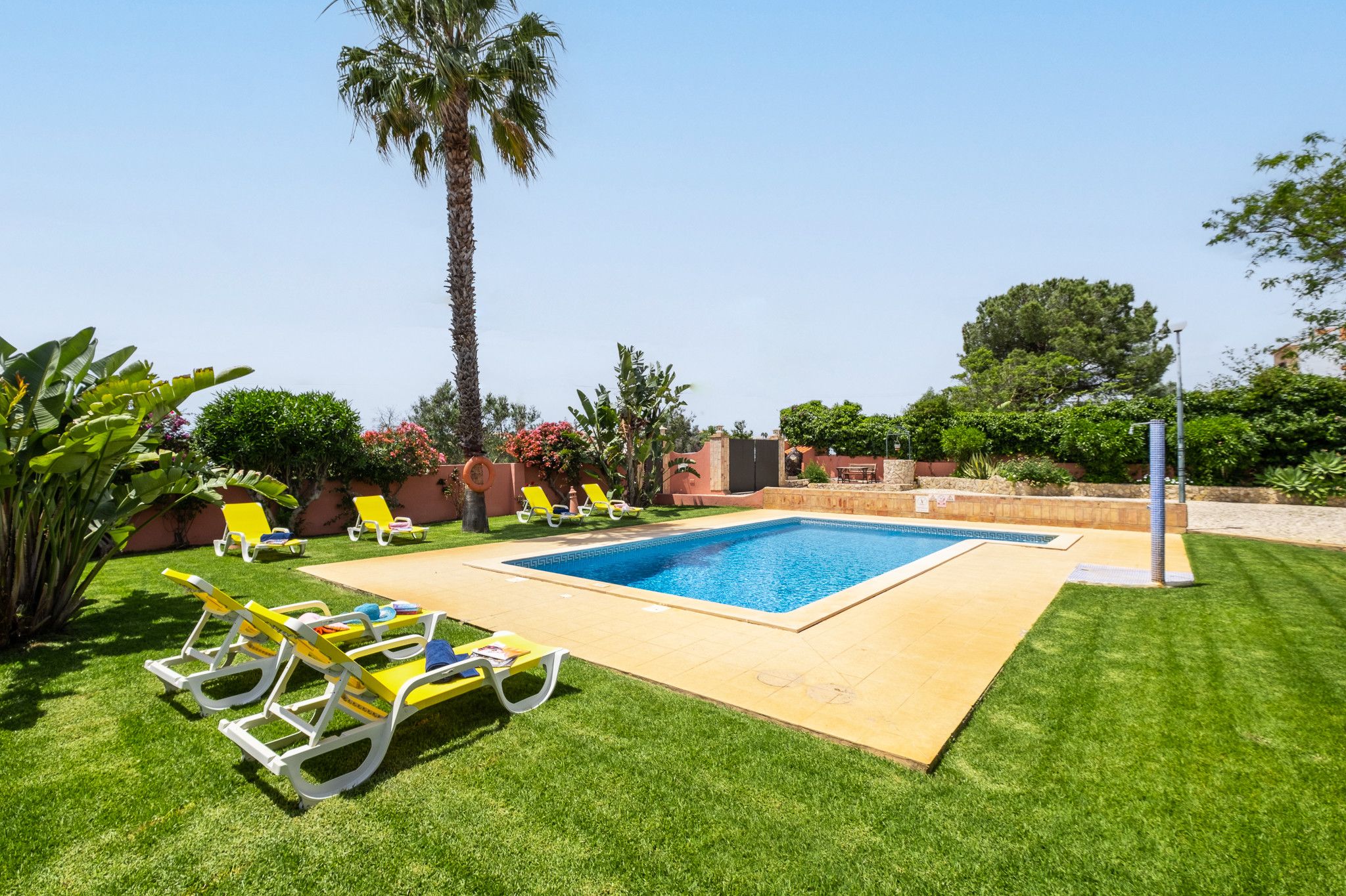 A swimming pool with a tiled deck, surrounded by green grass and palm trees.