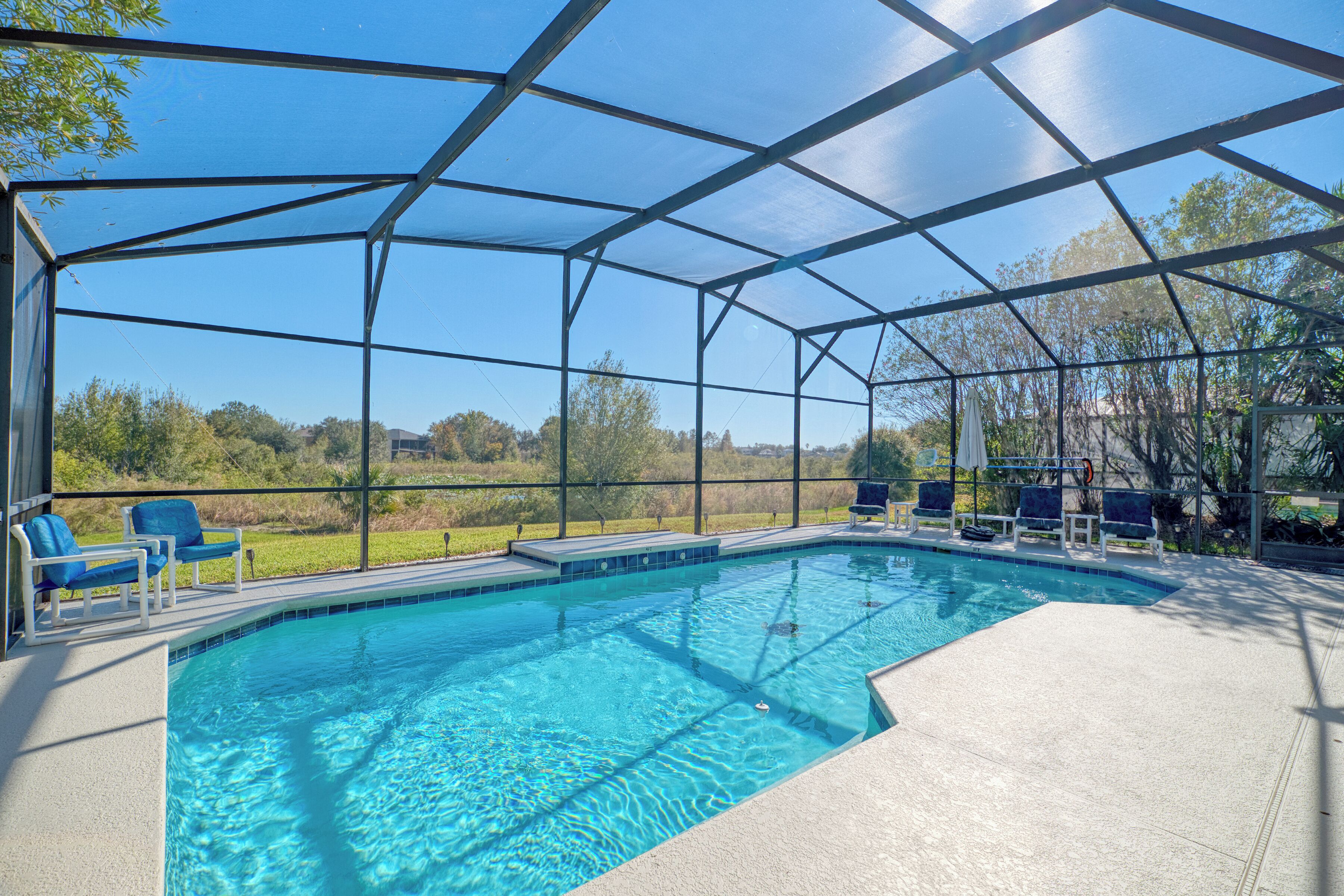 Outdoor pool, sun loungers