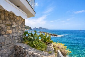 Property grounds - Enchanting panoramic Suite a few steps from the sea in the Sorrento Peninsula (Massa Lubrense)