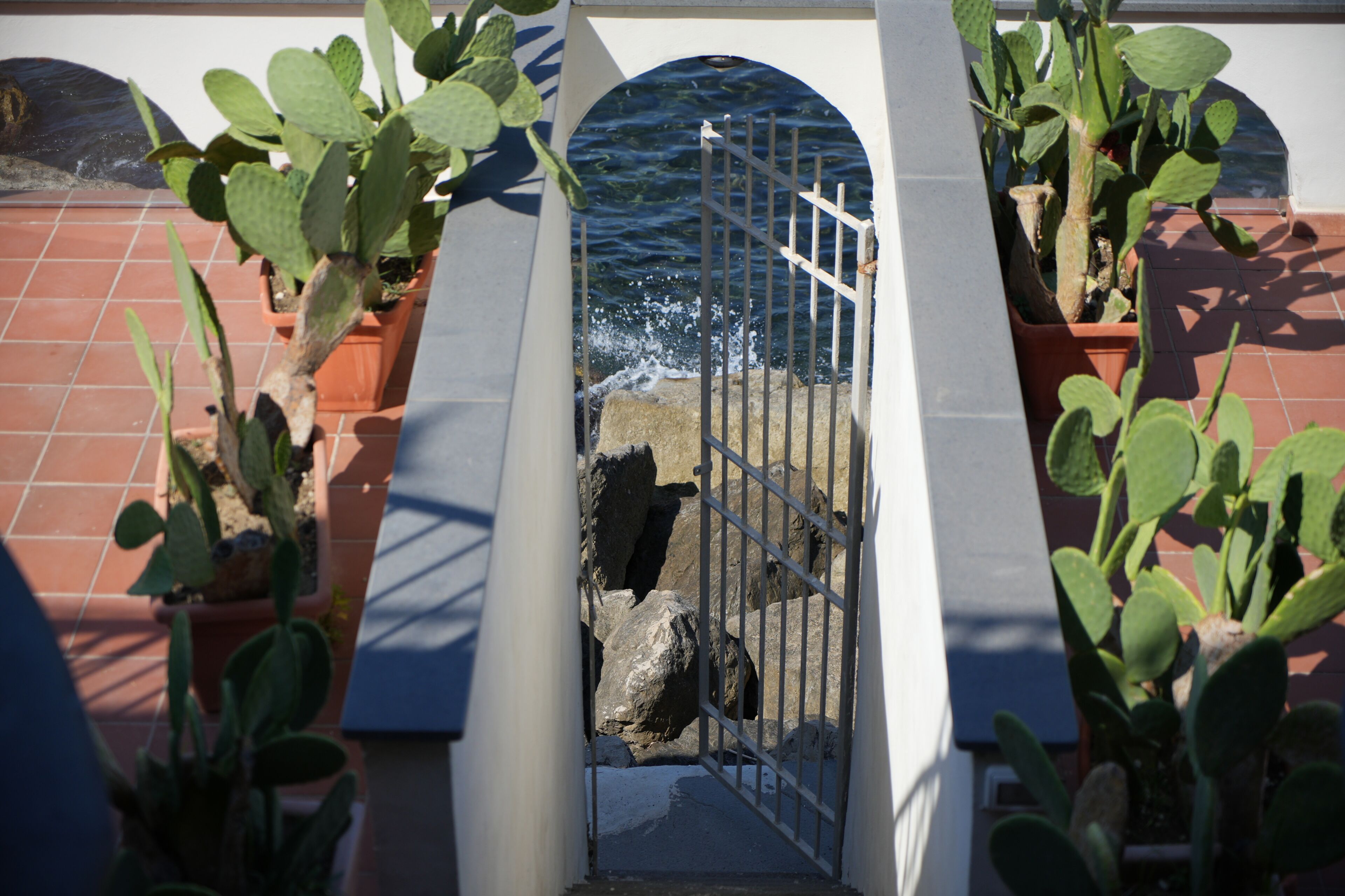 A gate with a metal fence, potted cacti, and a tiled floor.