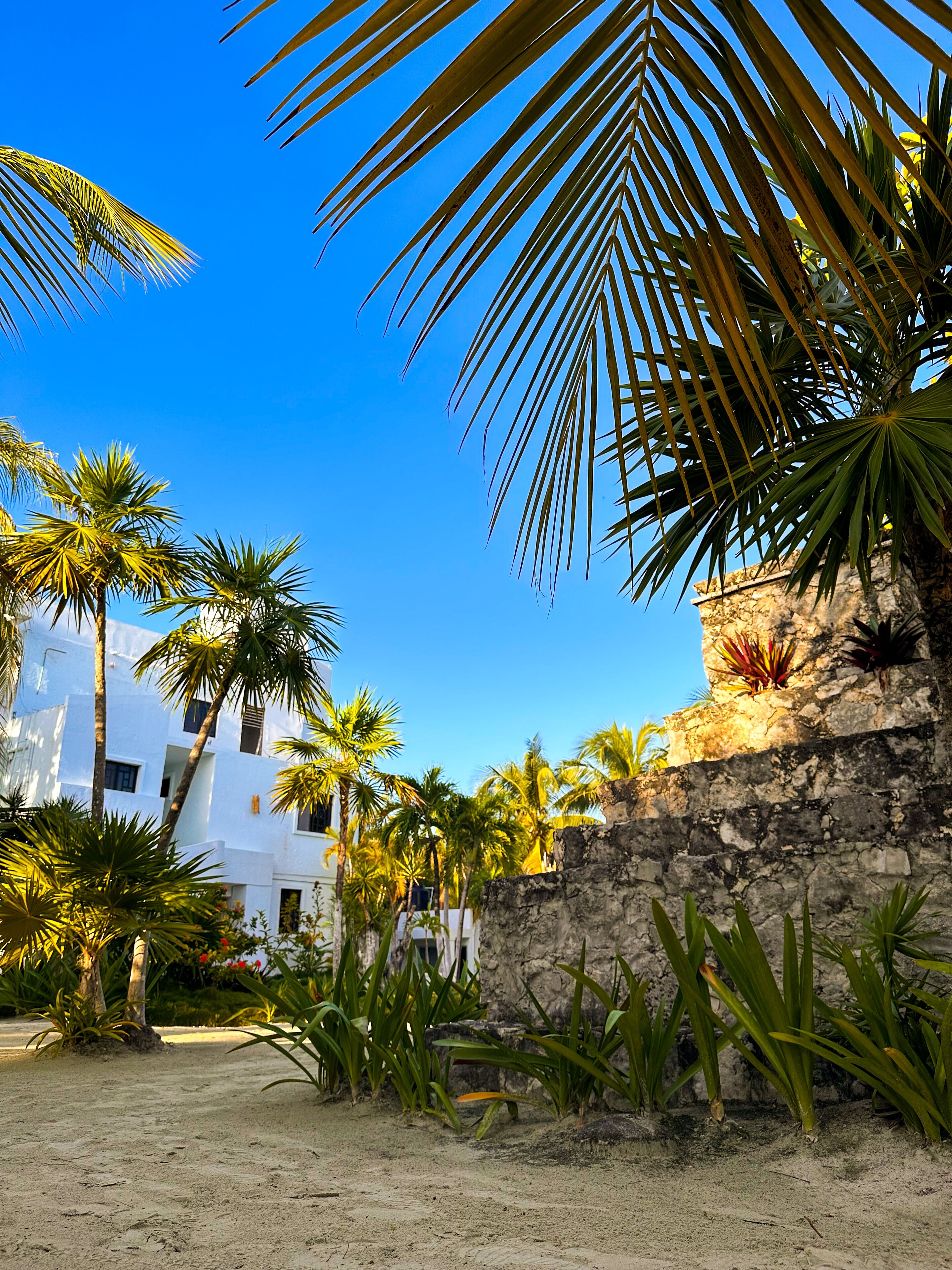 Foto - Alito Hotel Tulum
