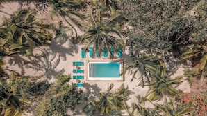 Vista aérea de una playa con piscina, rodeada de palmeras y sillones de descanso.