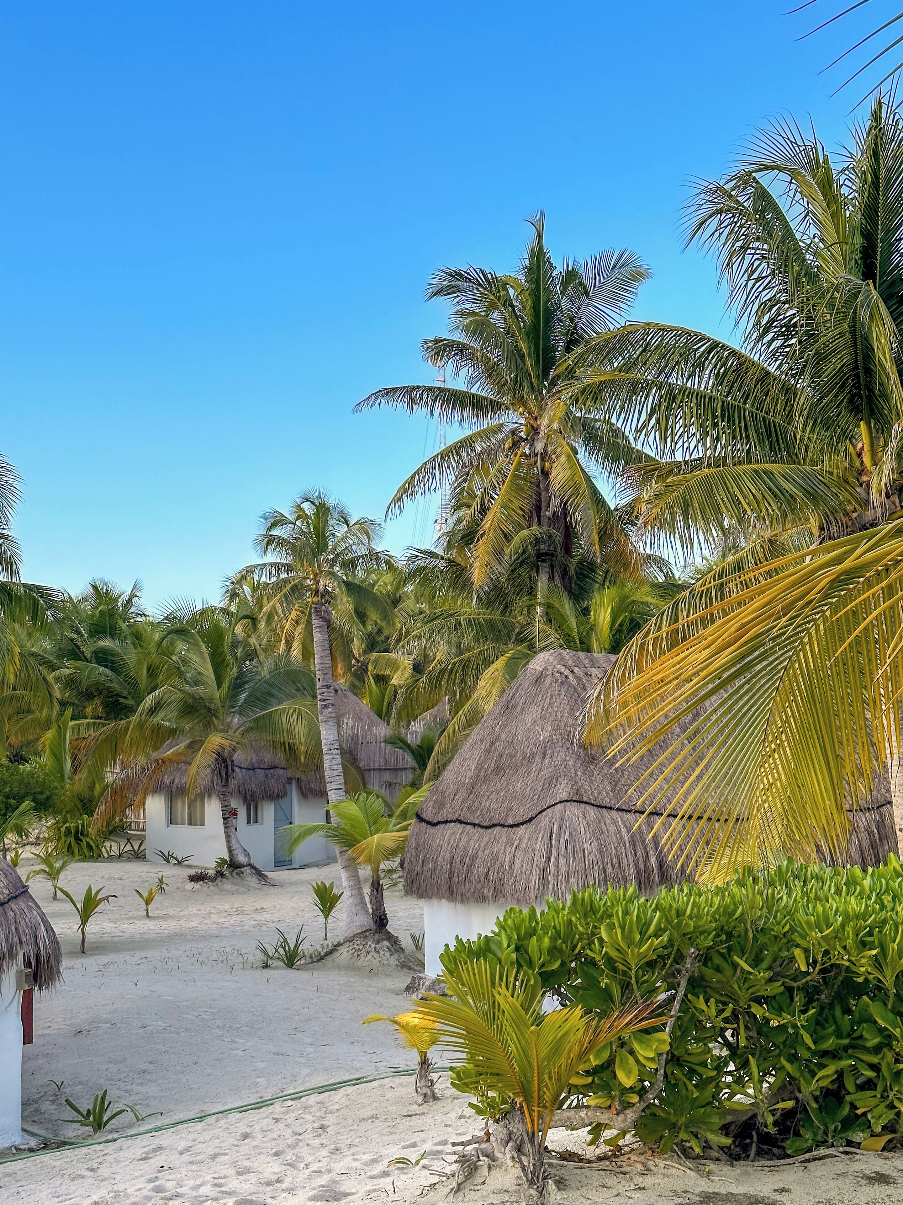 Foto - Alito Hotel Tulum