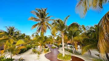 Cabaña romántica, baño privado, vista al jardín | Vista desde la habitación