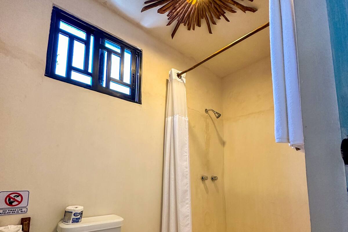 A bathroom with a toilet, shower, and a ceiling light fixture.