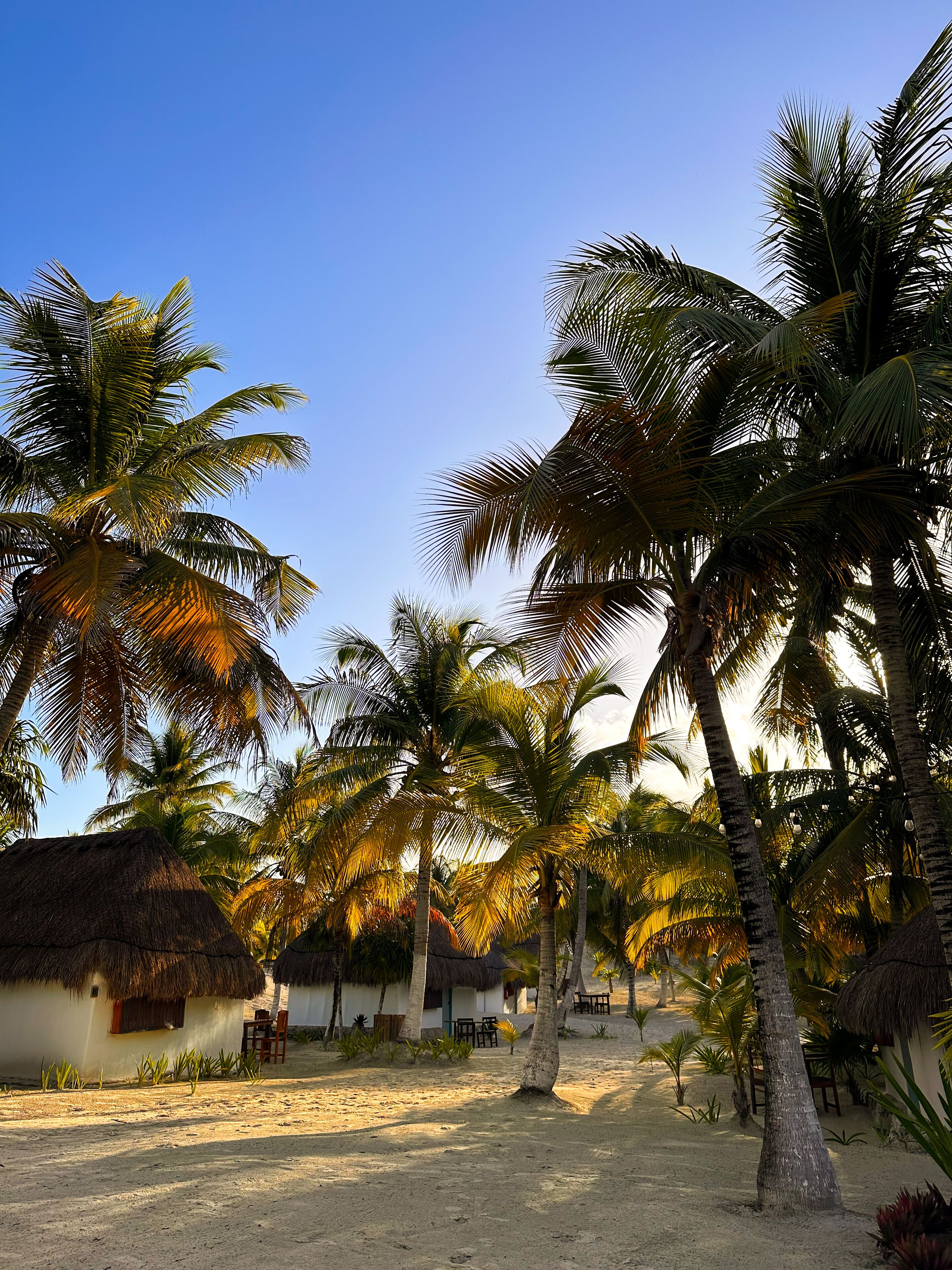 Foto - Alito Hotel Tulum